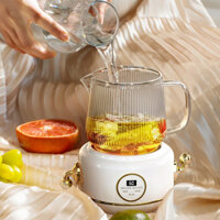 [Hàng Sẫn] Ấm Đun Nước Điện Thủy Tinh Inox, Ấm pha trà đa năng 600ml MiniHouse