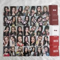 Hàng sẵn có babaymonster Photocard babaymonster Punch Song Card Phổ biến Ballads mcd yg Rose Under the Sunline Thẻ may mắn Pinch Face