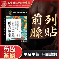 Hàng sẵn có Sản phẩm chính hãng Nanjing Tongrentang Miếng dán tuyến tiền liệt Vật lý trị liệu Miếng dán giảm đau nước tiểu tần số nam Thế hệ tuyến tiền liệt / 25.03.04 Seagull