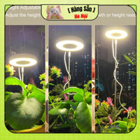 [Hàng Sẵn] Đèn LED trồng cây đầy đủ Quang phổ quang hợp  có thể điều chỉnh Độ sáng được lấp
