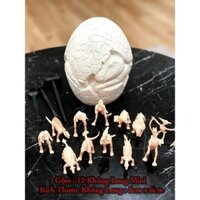 [Hàng sẵn HỎA Tốc HCM] Trứng Khủng Long Size to, Núi Lửa Phun Trào Khai Quật 12 con Khung Long Mini Dạ quang Phát Sáng