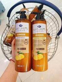 Hàng Thái - Dầu gội xả chiết xuất tinh chất gừng 480ml (Kiện 12 chai) (Hàng nguyên kiện)