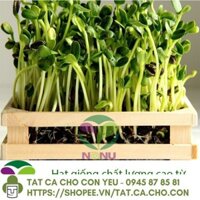 [Hàng Tốt] Hạt giống rau mầm Hướng Dương (1Kg)