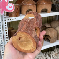 Hang trú ẩn gỗ dài nhiều lỗ, đồ chơi cho ốc mượn hồn, ốc rụt rè, dã tràng, cua ẩn sỉ, hermitcrab