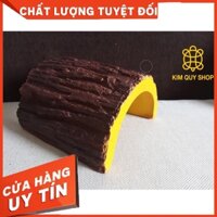 HANG TRÚ DÀNH CHO BÒ SÁT HÌNH KHÚC CÂY