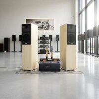 Hàng trưng bày: Dàn karaoke gia đình loa cây V386-A900 Goldsound ( 01 amply 900w + 02 loa cây + 01 vang cơ + Micro )