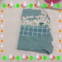 {HÀNG VỀ SẬP SHOP}  QUẦN LÓT MÔI SÉT 4 CÁI 0878  { BAO CHẤT LƯỢNG CHO CẢ NHÀ}