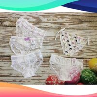 [hàng xịn] COMBO 5 QUẦN CHIP REN SIÊU MÁT NHIỀU MÀU