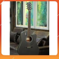 [HÀNG XỊN] Đàn Guitar Acoustic Rosen G11 Gỗ Thịt ( Hàng Có Sẵn)