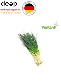 Hành lá VietGAP (0.1Kg) DEEP41 www.yeuhangduc.vn sẵn sàng cho bạn