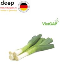 Hành Poaro không lá VietGap (100G) DEEP41 www.yeuhangduc.vn sẵn sàng cho bạn