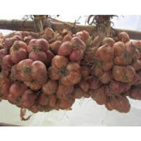 HÀNH TA KHÔ - HÀNH KHÔ- KINH MÔN -HẢI DƯƠNG 2 kg