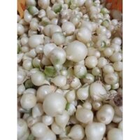 Hành tăm tươi sạch