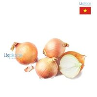 Hành tây Đà Lạt