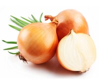 Hành Tây Đà Lạt