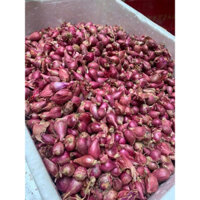 Hành Tím Lý Sơn Quảng Ngãi 1kg