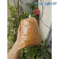 Hành tỏi ta phi giá xưởng xịn Kinh Môn_Hải Dương