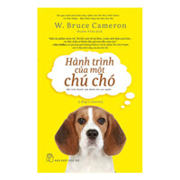 Hành Trình Của Một Chú Chó