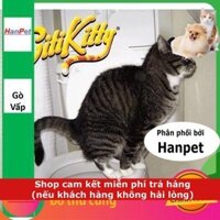 Hanpet.GV- Dạy mèo đi vệ sinh bồn cầu (LOẠI CÓ HỘP GIẤY) nắp bồn cầu cho mèo, huấn luyện mèo đi vệ