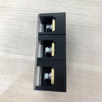 HanYoung Domino Cầu đấu 100A 3P HYT-1003 Hanyoung Nux