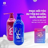 Hấp dầu keratin MollyHair PPC chính hãng, phục hồi tóc hư tổn 750ml