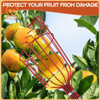 Happaypart| Giỏ trái cây có thể tháo rời Máy hái trái cây Orchard Dụng cụ hái trái cây bằng thép không gỉ có tay cầm dài để thu hoạch quả lê bơ Dụng cụ đa năng có thể tháo rời cho người mua Đông Nam