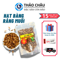 Hạt Bàng Côn Đảo THẢO CHÂU, Hạt Bàng Rang Muối Nguyên Chất Túi Zip 100/ 200/ 500 gram