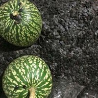 HẠT BÍ ĐEN 2kg 280