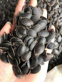 Hạt bí đen dân tộc Mèo