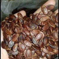 Hạt bí không phẩm màu