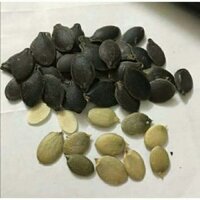 Hạt bí mèo đen rang 500g - 1kg