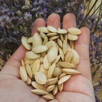 hạt bí rang muối