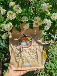 Hạt Bí Rang Trọng Nhân 500gr