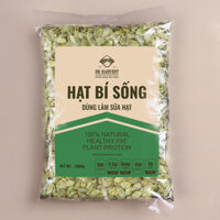 Hạt Bí Sống Dùng Làm Sữa DK Harvest nhập khẩu - Túi 500g, 1000g - 1000g