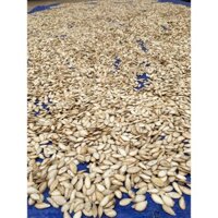 hạt bí trắng 1kg