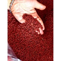 Hạt cari(hạt điều màu)nguyên hạt(0.5kg-1kg), hạt màu điều gia vị tự nhiên, gia vị nấu ăn, tạo màu thực phẩm