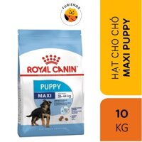 Hạt cho chó Royal Canin Maxi Puppy 10kg