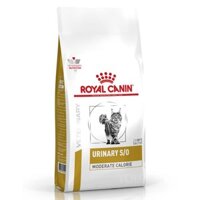 Hạt cho Mèo Bị Sỏi Thận và Tiết Niệu Royal Canin