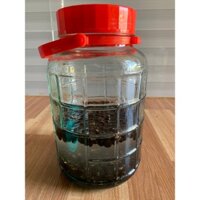 Hạt chuối cô đơn ngâm rượu gạo (500gram hạt chuối, 2 lít rượu gạo) ngâm bình thủy tinh
