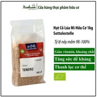 Hạt Cỏ Lúa Mì Hữu Cơ 1kg Sottolestelle - XanhSam Oraganic