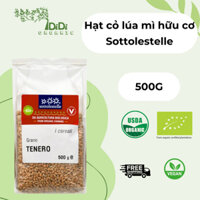 Hạt cỏ lúa mì hữu cơ Sottolestelle 500G VÀ 1KG