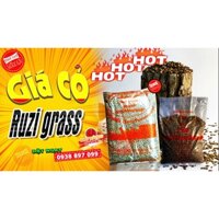 Hạt cỏ ruzi gói 1kg giá bao nhiêu