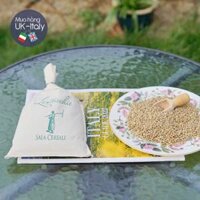 Hạt đậu lăng Lentil – Lentiche Ý Sala Cereali