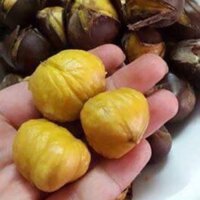 Hạt dẻ rang sấy Cao Bằng  Kz187