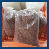 Hạt điều đỏ 1 KG