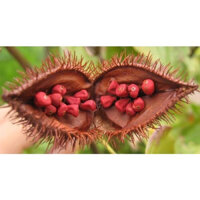 Hạt Điều Màu Đỏ 500gr-{Giá Gốc Lấy Tương Tác}-Hạt Cà Ri-Tạo Màu Tự Nhiên-Yunyshop