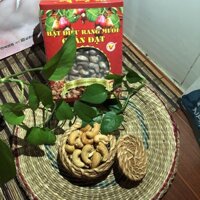 Hạt điều rang muối vỏ lụa Quân Đạt hộp giấy 500gr