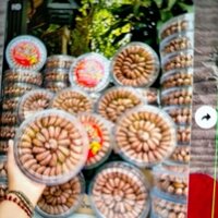 hạt điều rang muối