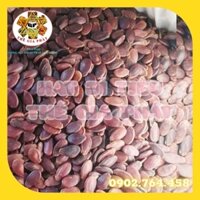 Hạt dưa đặc biệt 500g nhân to dày giòn thơm ngon đồ ăn vặt chất lượng an toàn cho sức khỏe HHD HATBITIEU