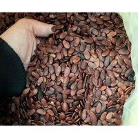 hạt dưa không nhuộm màu 500g